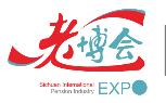 2021第九屆四川國際健康和養(yǎng)老產(chǎn)業(yè)博覽會(huì)